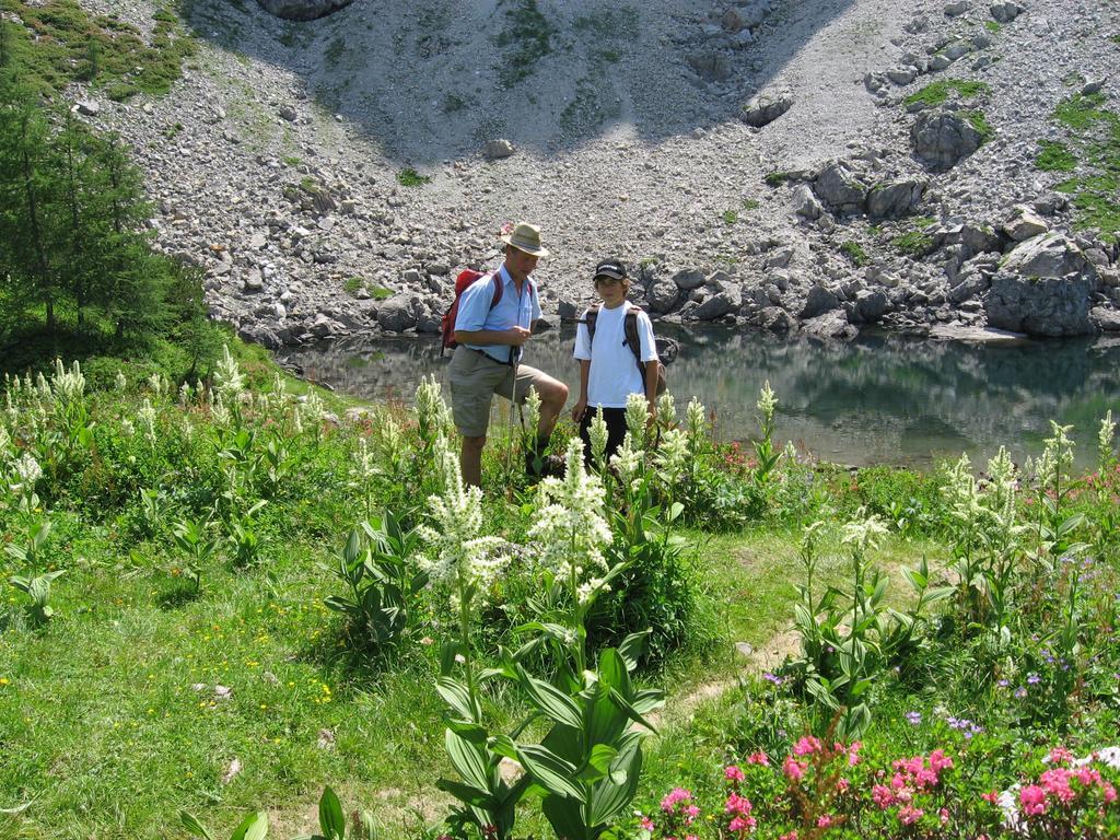 Bauernhofurlaub Sinnhubgut Altenmarkt im Pongau Buitenkant foto