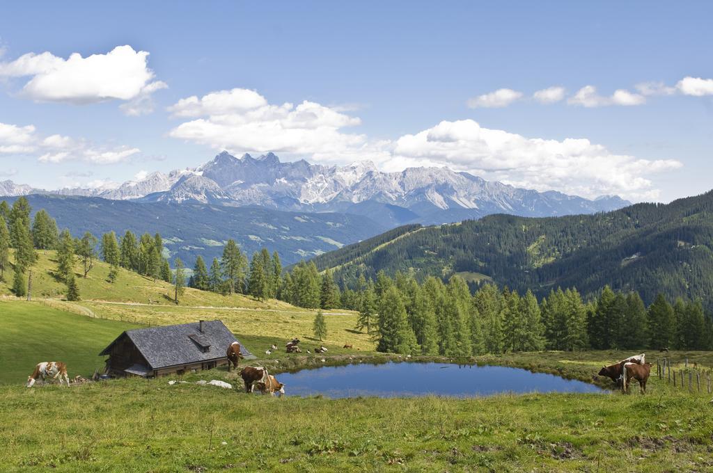 Bauernhofurlaub Sinnhubgut Altenmarkt im Pongau Buitenkant foto